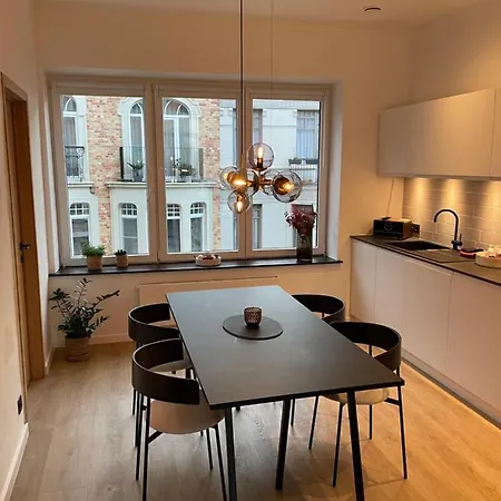 Conge Sfeervol Dichtbij Zee Ostende