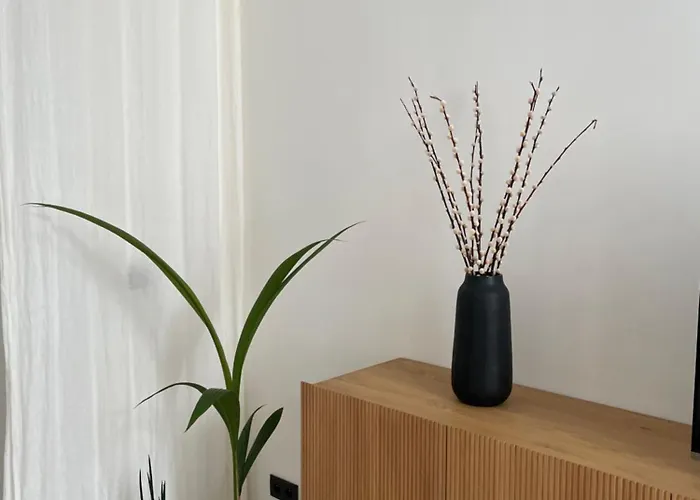 Conge Sfeervol Dichtbij Zee * Ostende